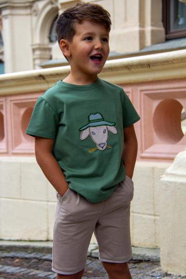 shirtZiege2